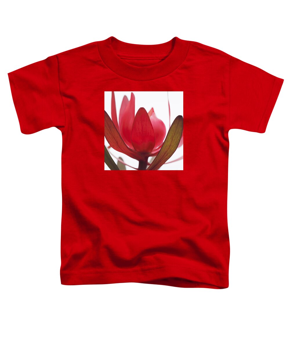 Flower Toddler T-Shirt featuring the digital art Petals by Margaret Hormann Bfa