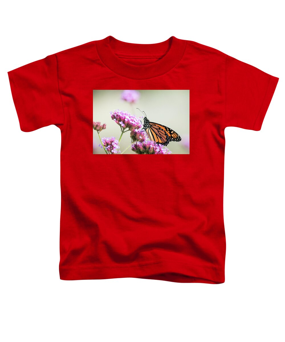 Monarch Butterfly Butterflies Nature Outside Outdoors Insect Nature Natural Wild Life Wildlife Macro Closeup Close-up Ma Mass Massachusetts Wings Flower Botany Botanic Botanical Garden Gardening Brian Hale Brianhalephoto Newengland New England U.s.a. Usa Pollen Nectar Proboscis Pick Picking Picked Toddler T-Shirt featuring the photograph Picking Flowers 2 by Brian Hale
