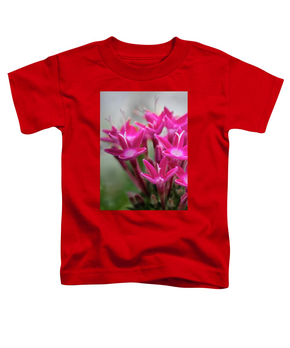 Pink Toddler T-Shirt featuring the photograph Pink Blossoms by James Woody