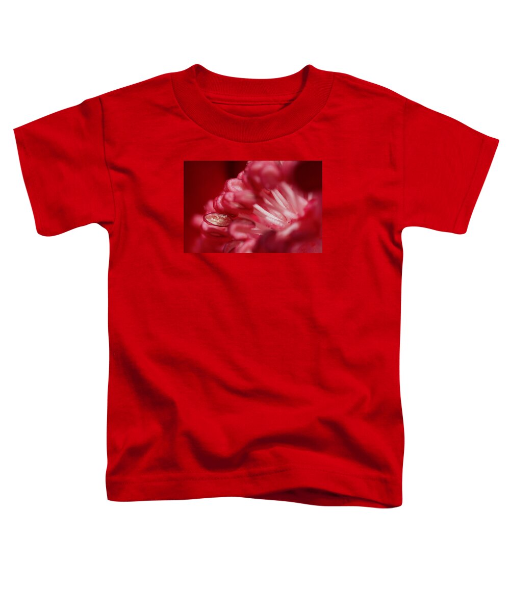 Flower Toddler T-Shirt featuring the photograph Pink Delight by Robert Och