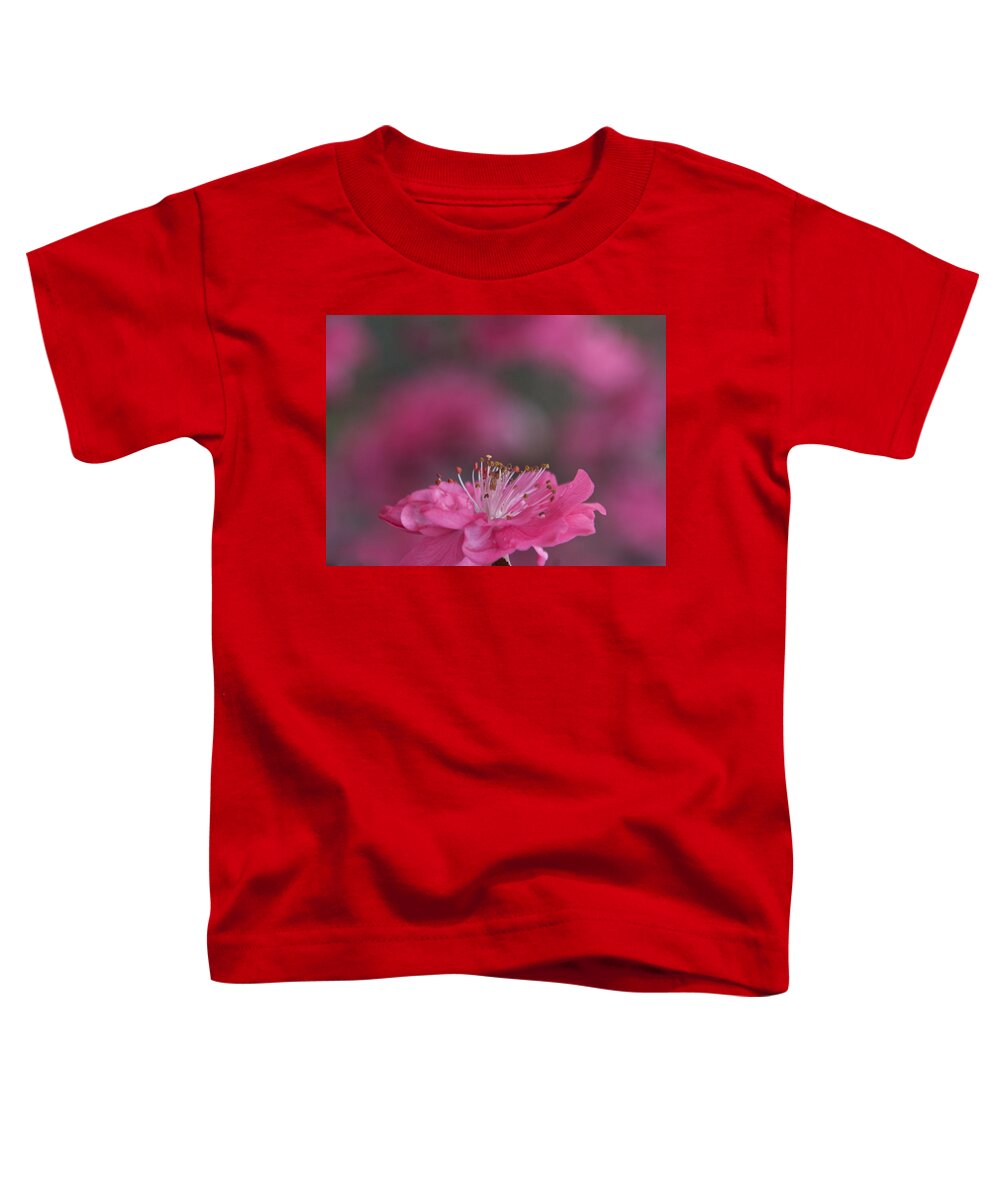 Tree Toddler T-Shirt featuring the photograph Pink Tree Blossom Opening by Cascade Colors