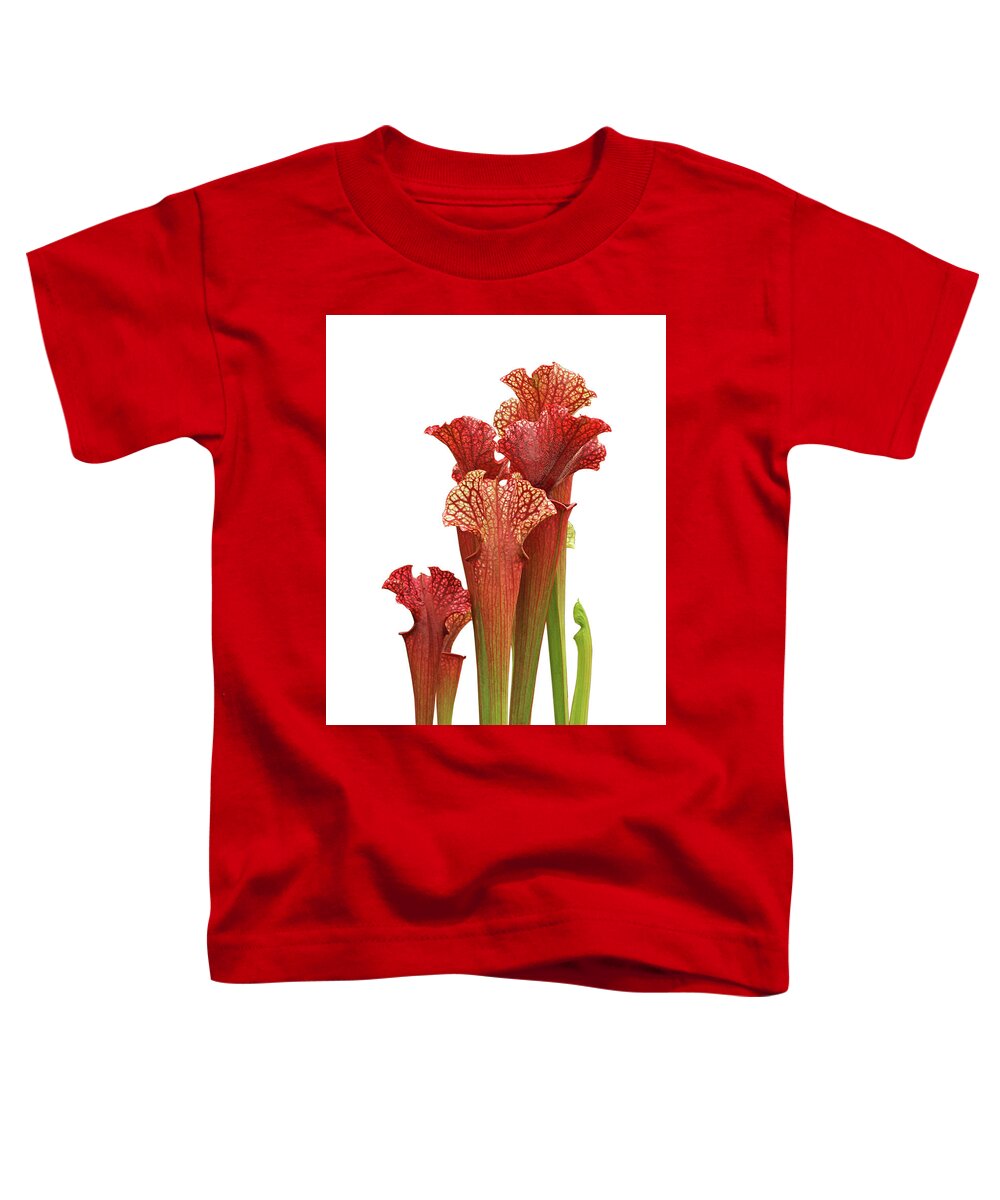 Red Flower Toddler T-Shirt featuring the photograph Pitcher Plant - Carnivorous Sarracenia by Gill Billington