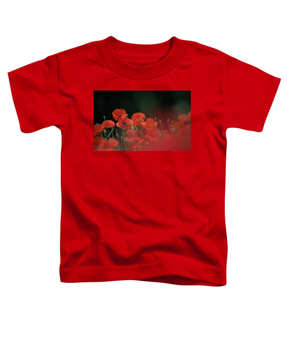 Wild Toddler T-Shirt featuring the photograph Poppy Black by Pete Walkden