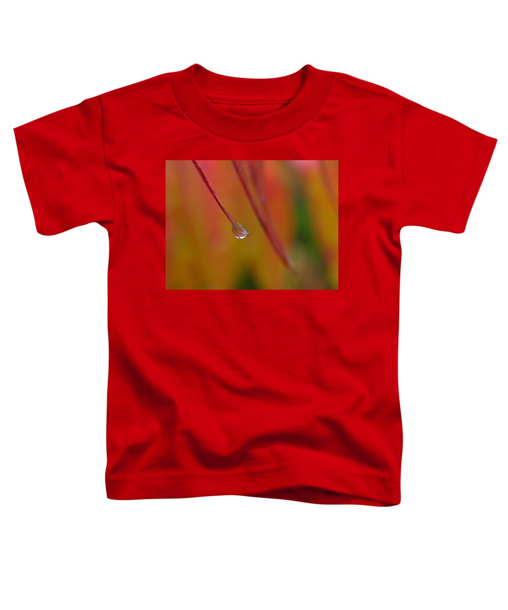 Autumn Toddler T-Shirt featuring the photograph Raindrop by Juergen Roth