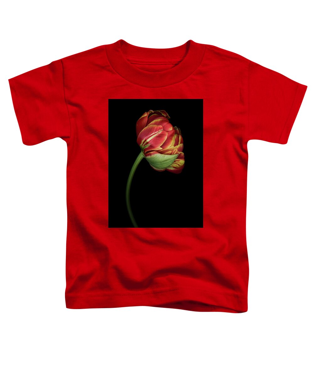 Parrot Tulip Toddler T-Shirt featuring the photograph Red and Yellow Tulip by Oscar Gutierrez