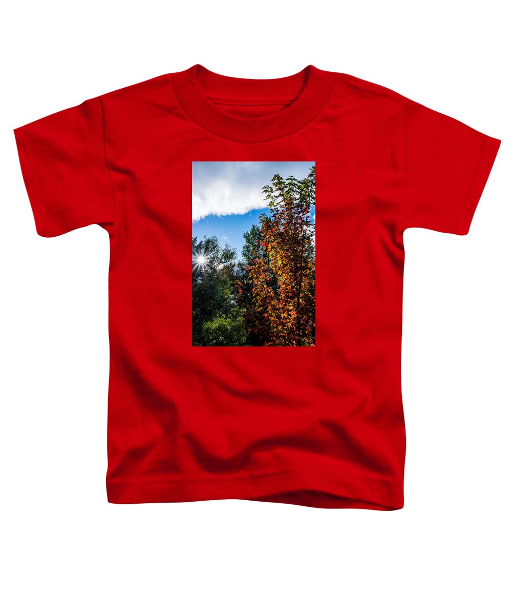 Rogue Valley Toddler T-Shirt featuring the photograph Rogue Valley Autumn Afternoon by Mick Anderson