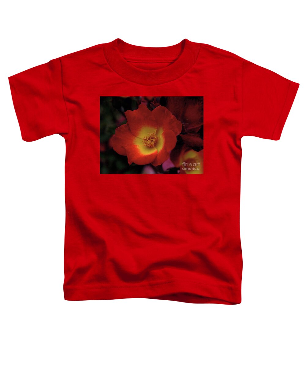 Rose Toddler T-Shirt featuring the photograph Rose by Jacklyn Duryea Fraizer