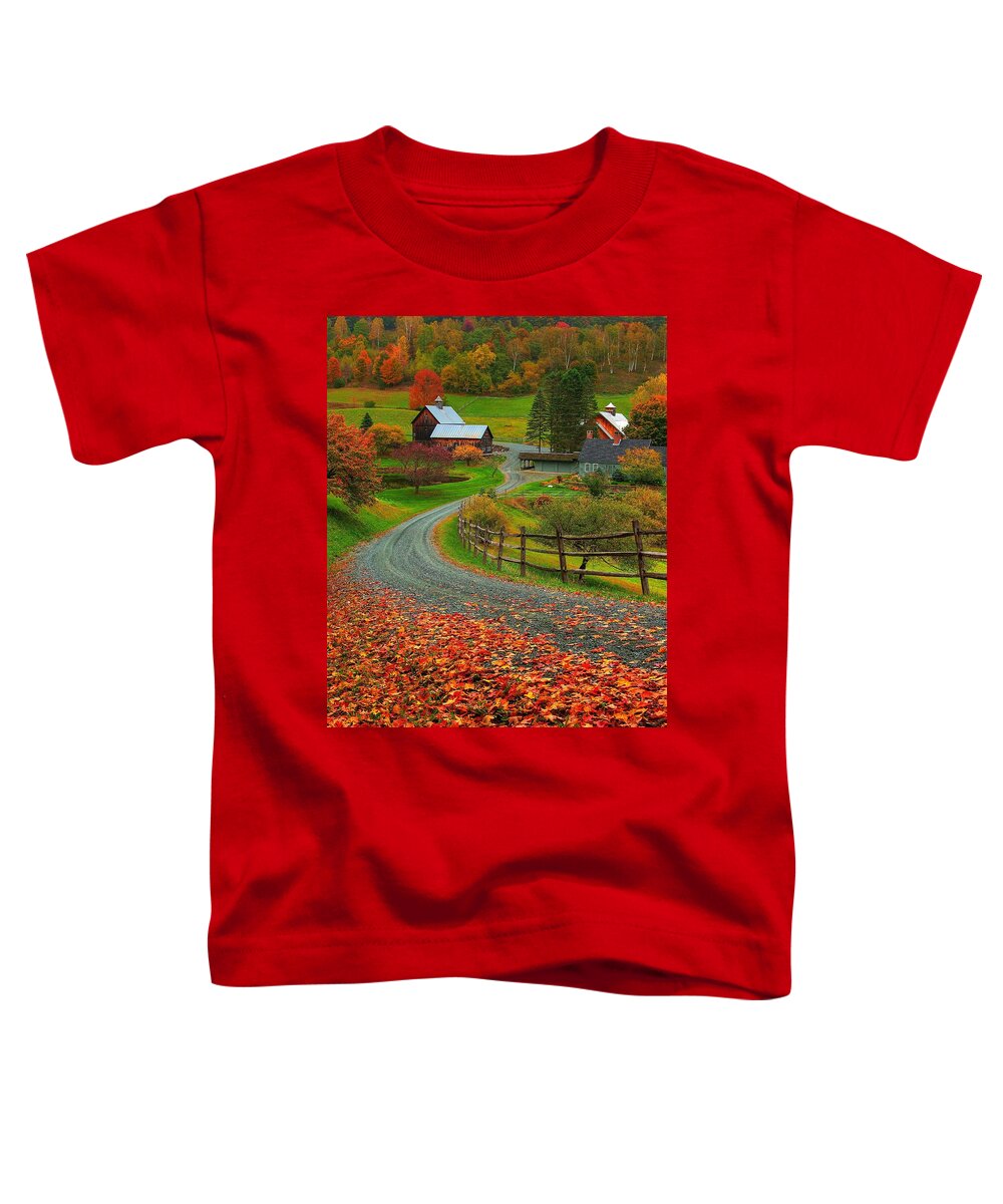 Vermont Toddler T-Shirt featuring the photograph Sleepy Hollow Farm by Steve Brown