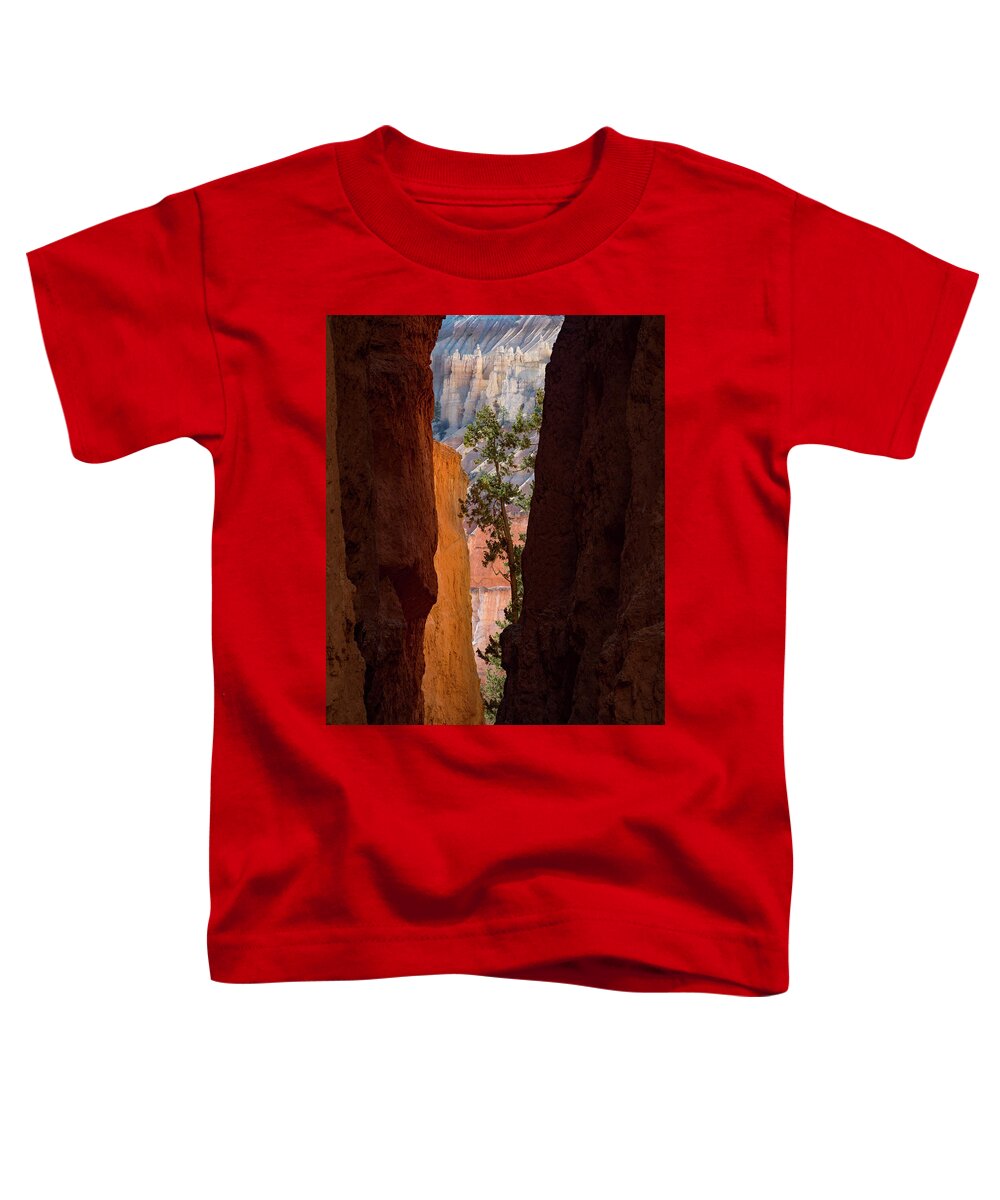 Bryce Canyon National Park Toddler T-Shirt featuring the photograph Sliver of Bryce by Emily Dickey