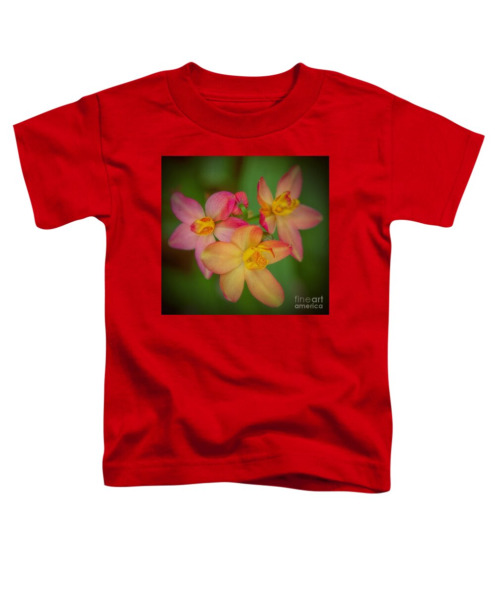 Orchids Toddler T-Shirt featuring the photograph Softly, as in a Morning Sunrise by Elizabeth Winter