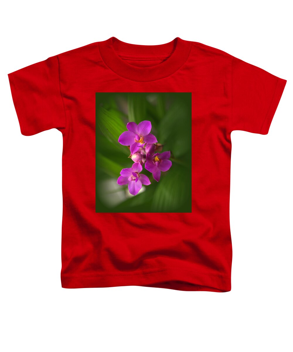 Plant Toddler T-Shirt featuring the photograph Spathoglottis Orchid Flower by Nathan Abbott