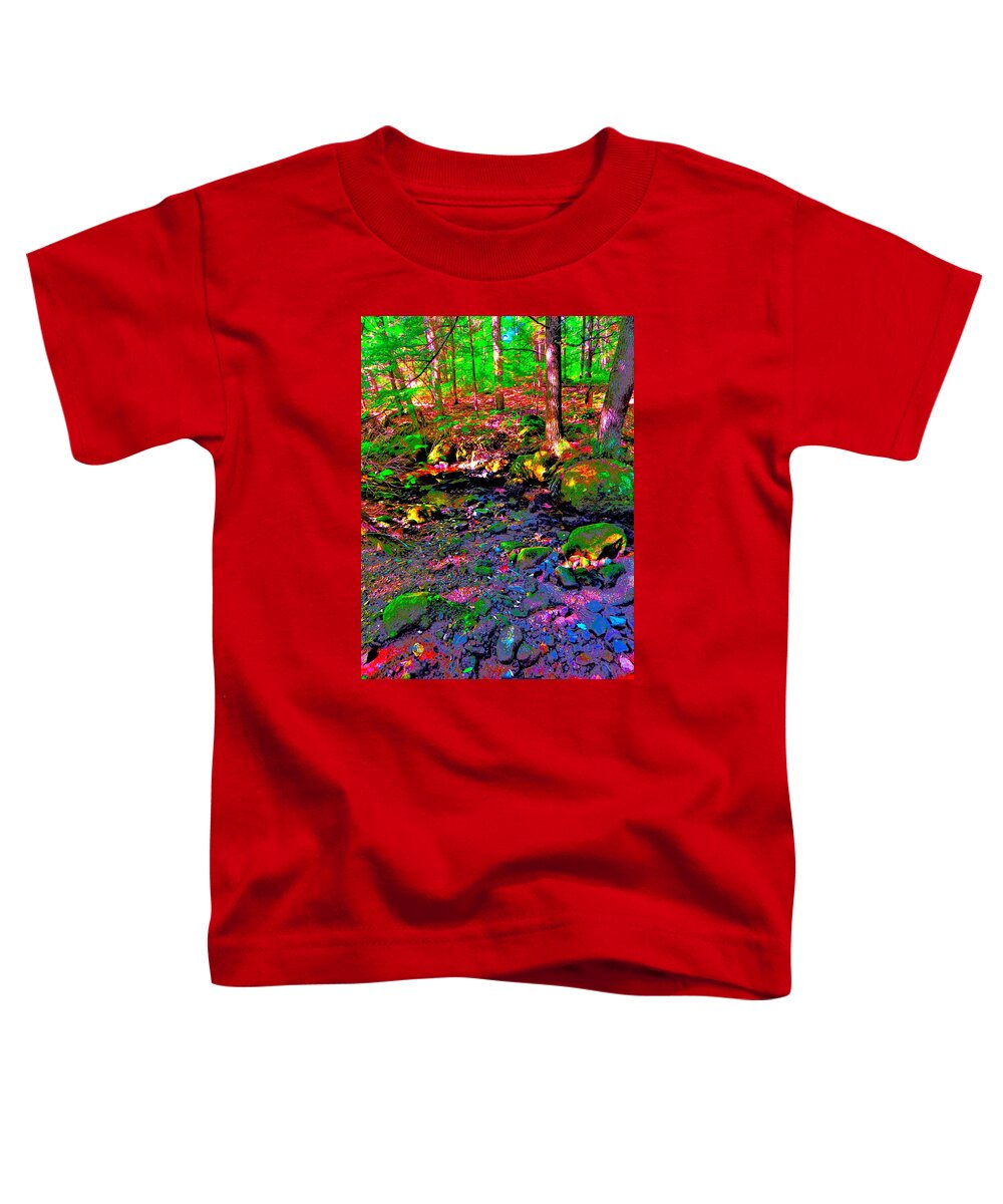 Landscape Toddler T-Shirt featuring the photograph Summer B2015 167 by George Ramos
