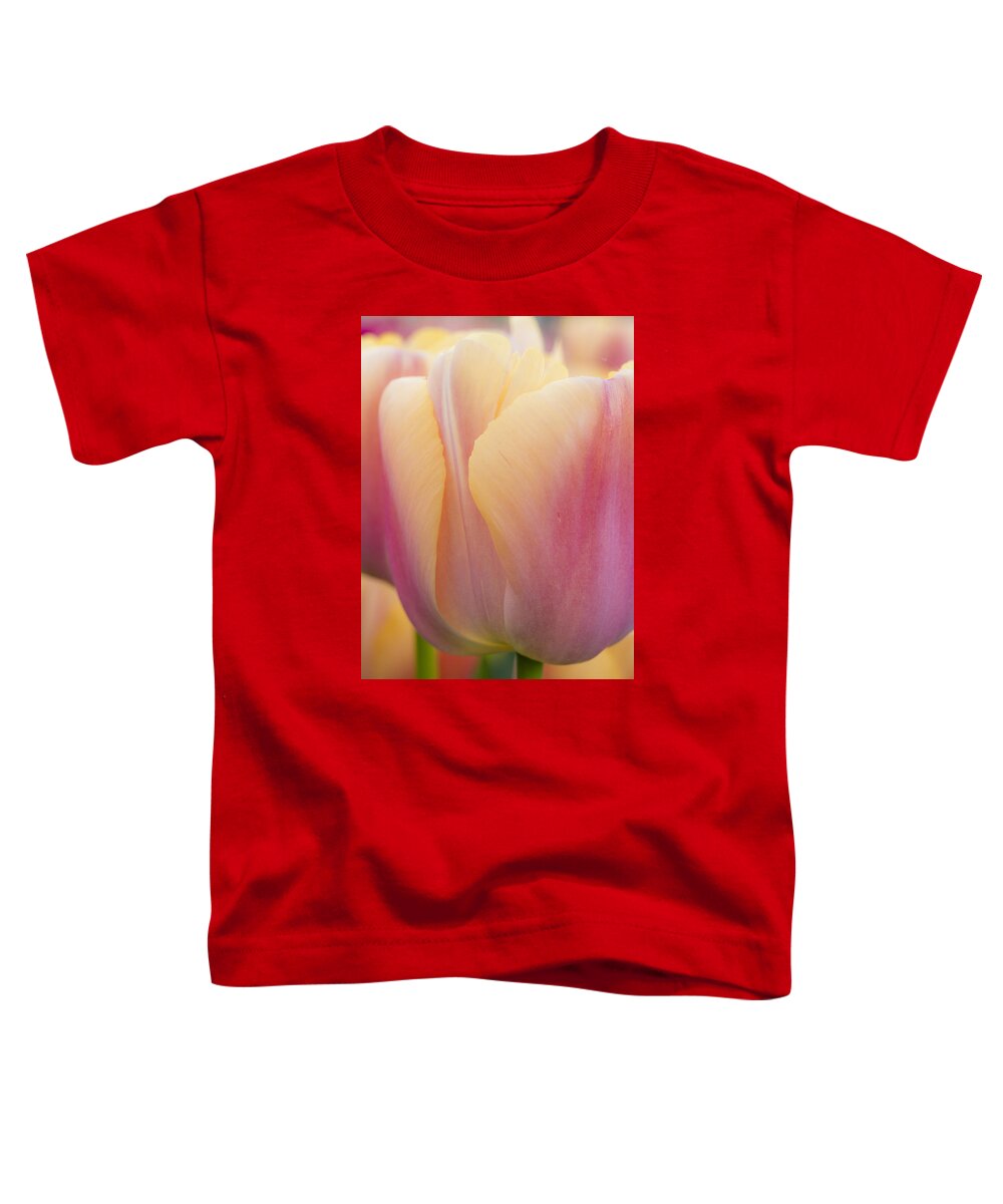 Beauty Toddler T-Shirt featuring the photograph Sweet Sherbet by Eggers Photography