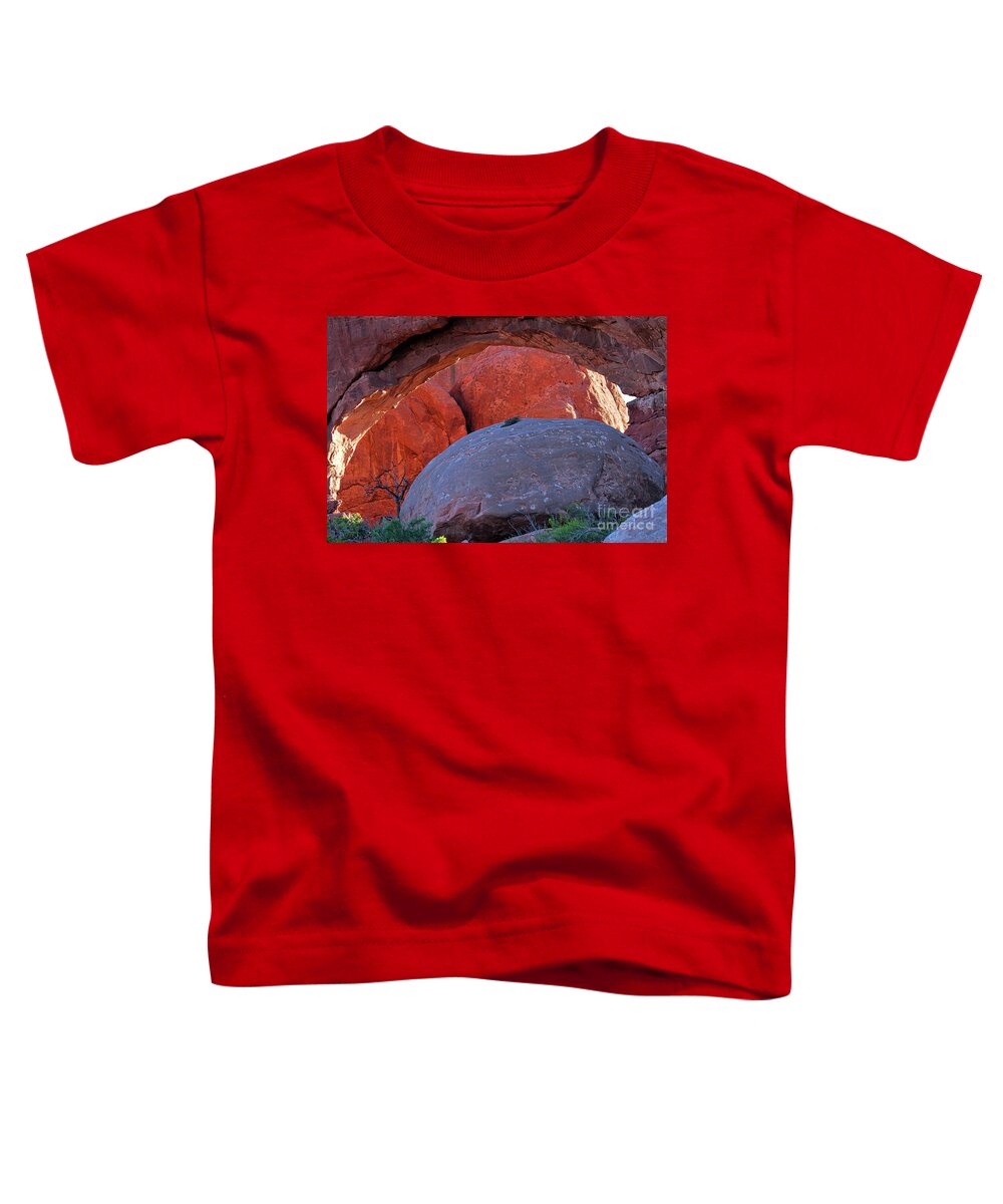 Landscape Toddler T-Shirt featuring the photograph The Empty Tomb by Jim Garrison