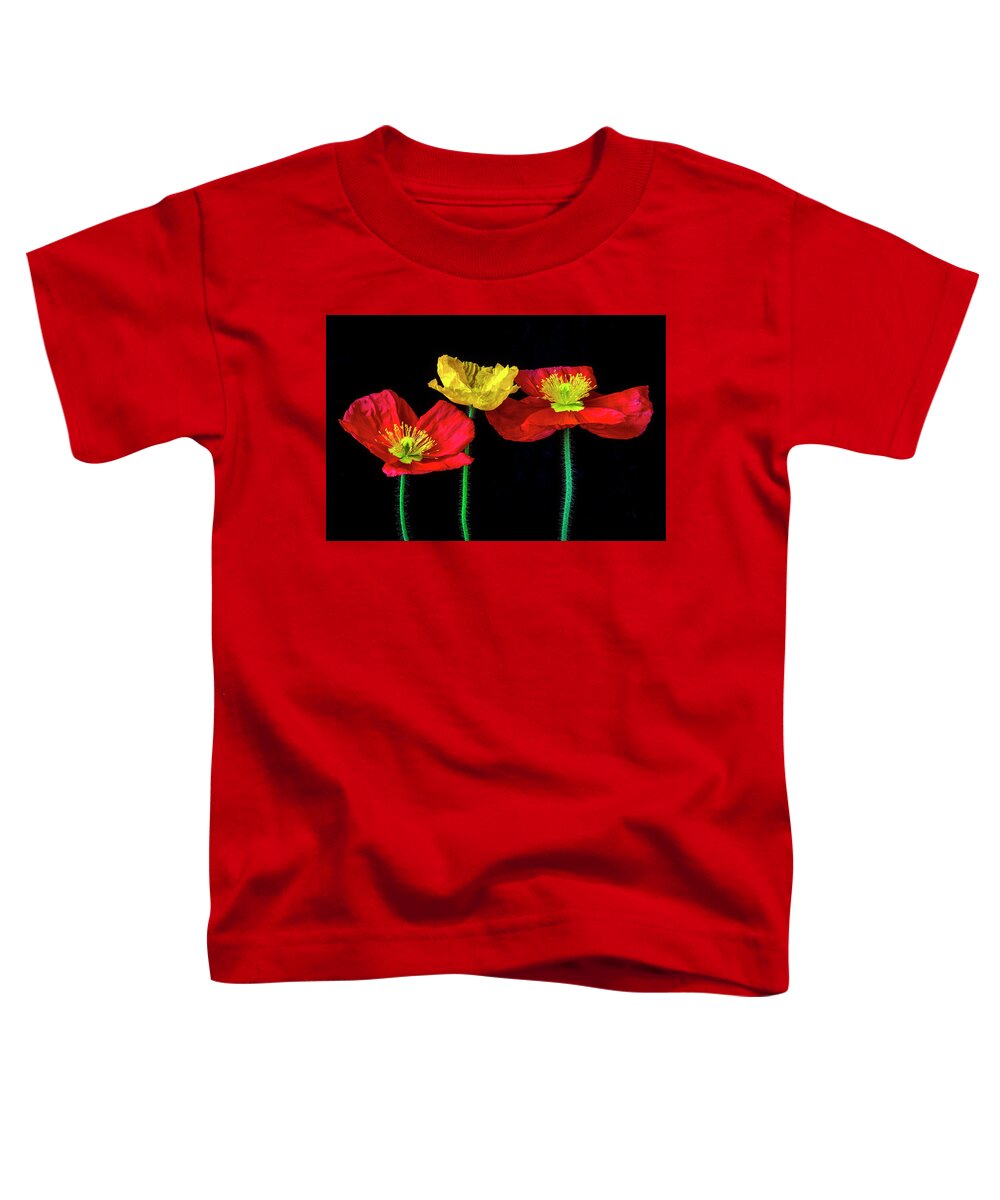 Color Toddler T-Shirt featuring the photograph Three Wonderful Iceland Poppies by Garry Gay