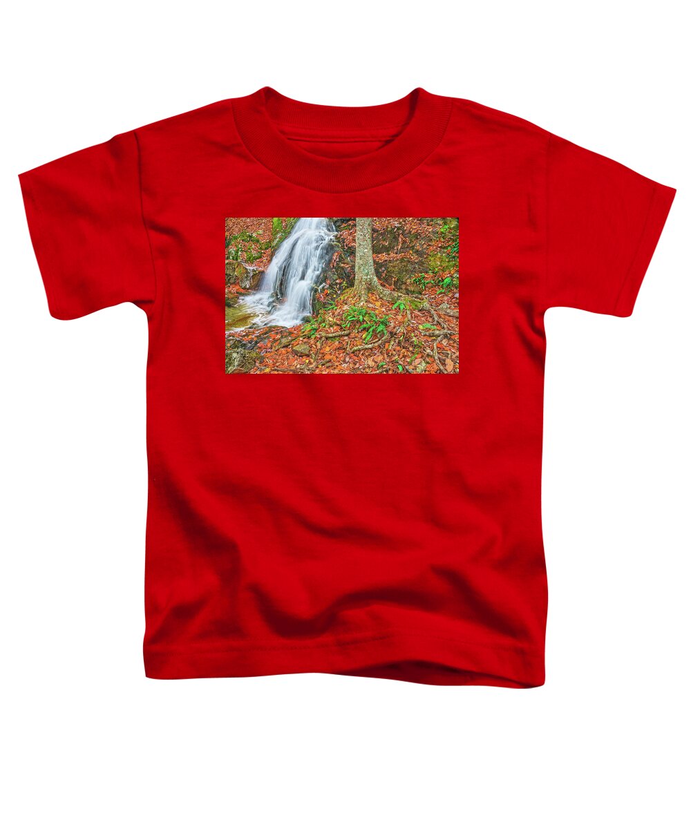Crabtree Falls Toddler T-Shirt featuring the photograph To Live Is To Suffer. To Survive Is To Find Some Meaning In Suffering. by Bijan Pirnia