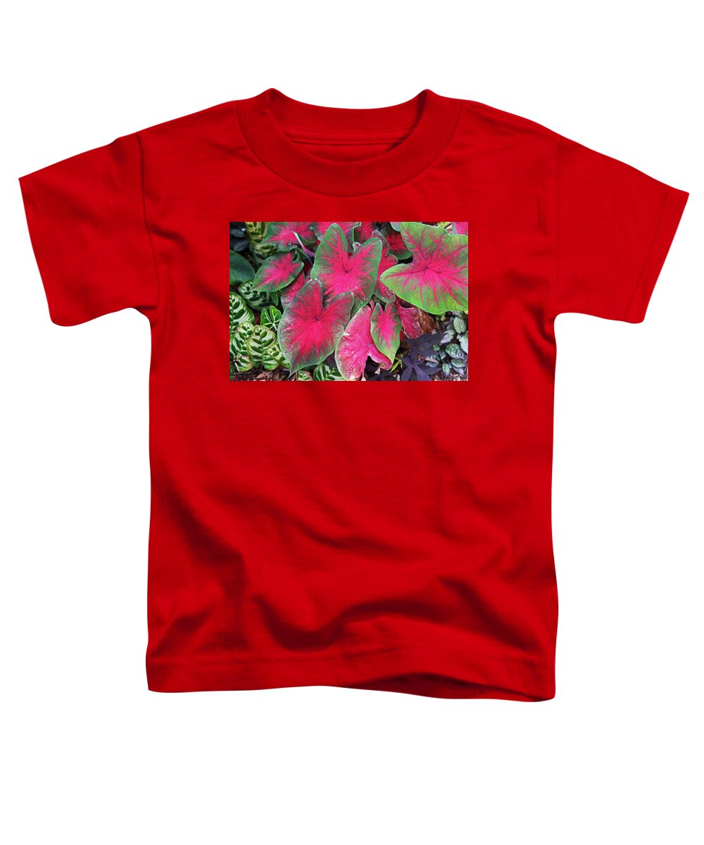 Caladium Toddler T-Shirt featuring the photograph Tormented Romance by Michiale Schneider