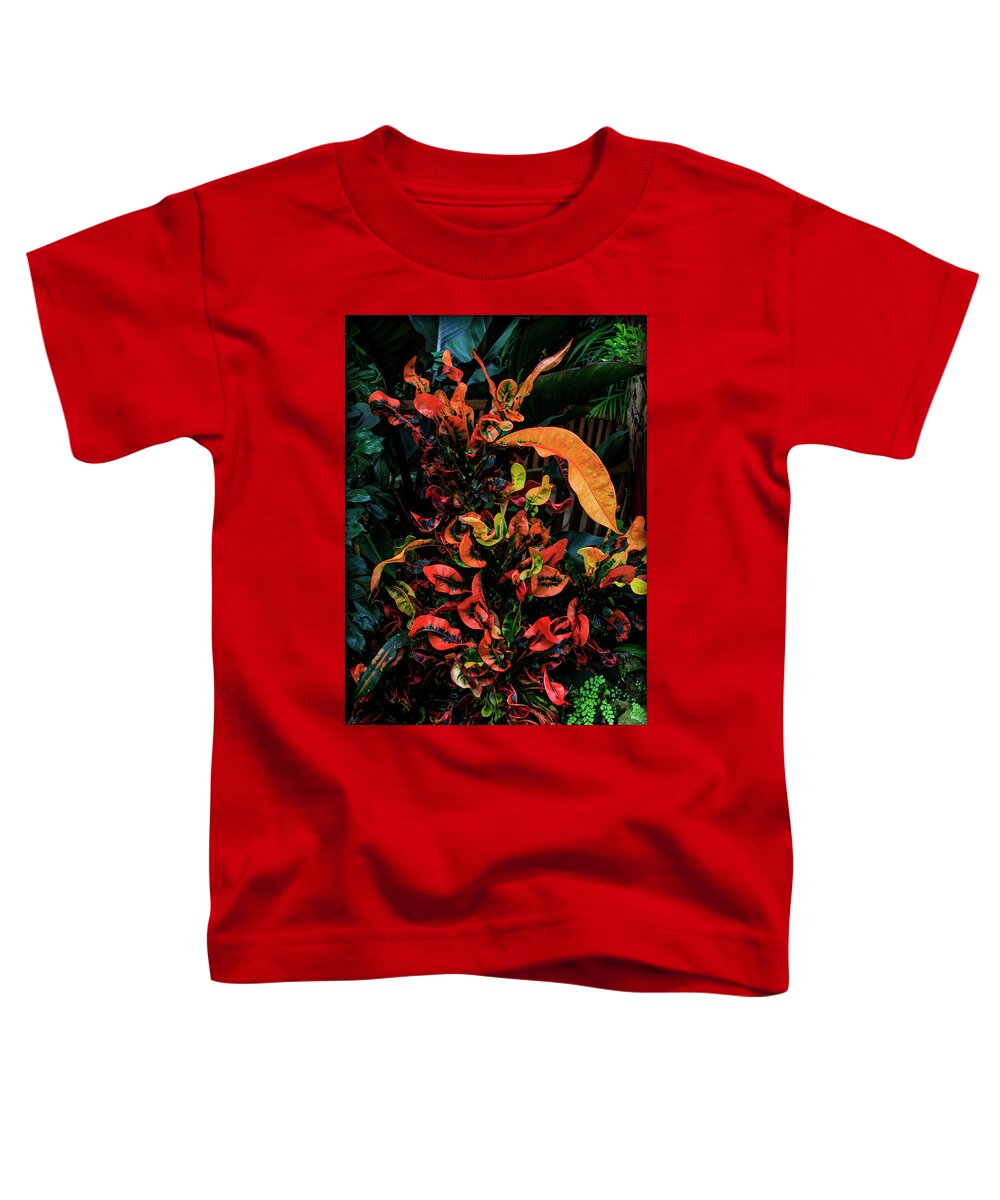 Bonnie Follett Toddler T-Shirt featuring the photograph Variegated Croton Burst of Color by Bonnie Follett