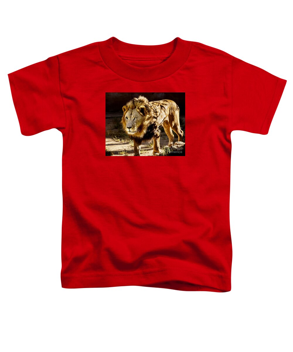 African Lion Art Photograph Toddler T-Shirt featuring the photograph Walk On The Wild Side by Jerry Cowart