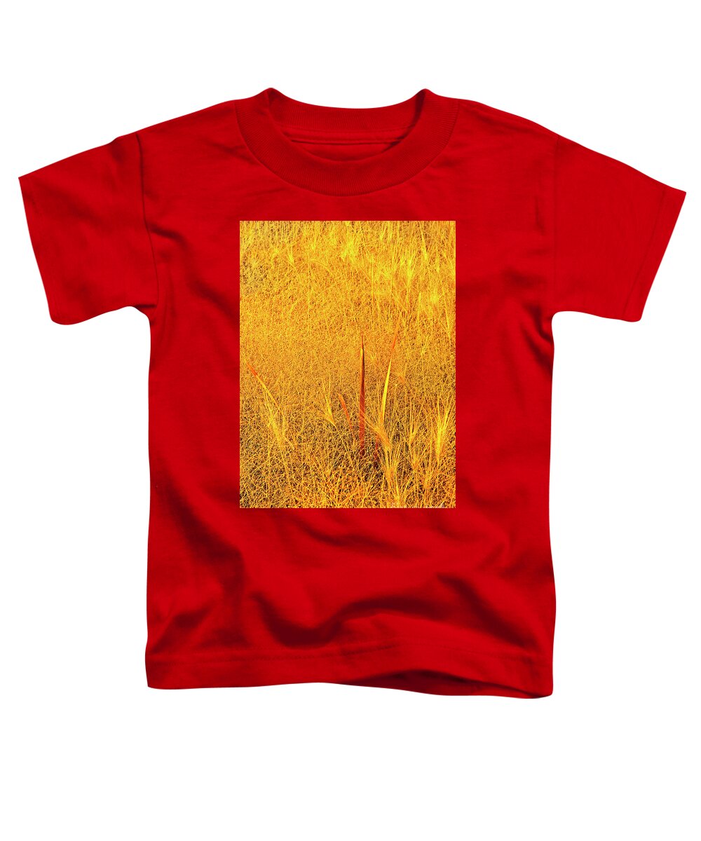 Dave Welling Toddler T-Shirt featuring the photograph Wild Grasses Autumn Mono Lake State Park California by Dave Welling