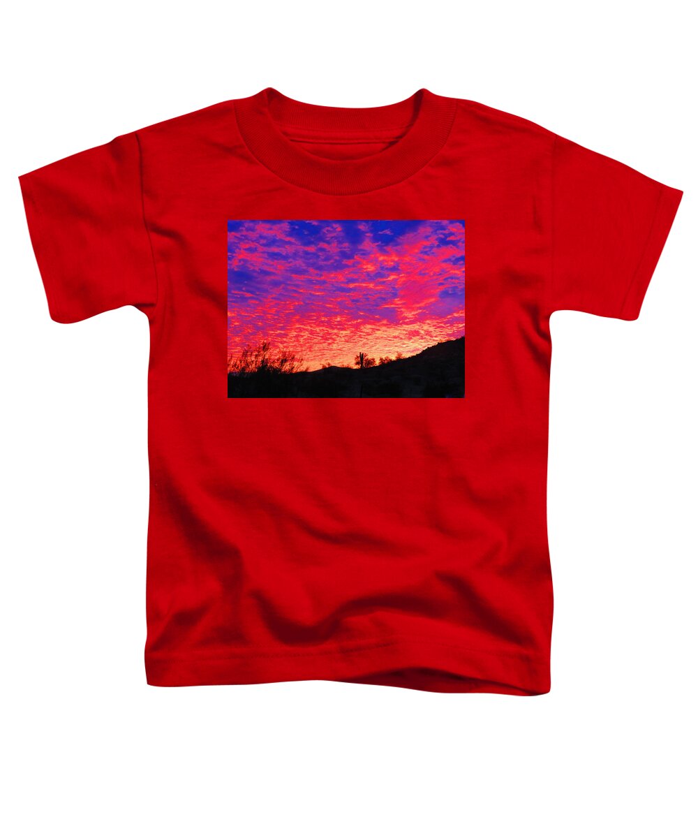 Places Toddler T-Shirt featuring the photograph Y Cactus Sunset 1 by Judy Kennedy