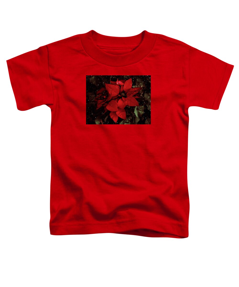 Flowers Toddler T-Shirt featuring the photograph You Know It's Christmas Time When... by Elaine Malott