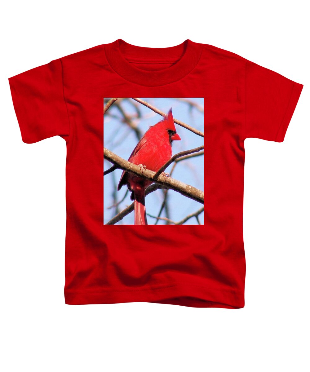 Birds Toddler T-Shirt featuring the photograph Cardinal in Winter by Karen Stansberry