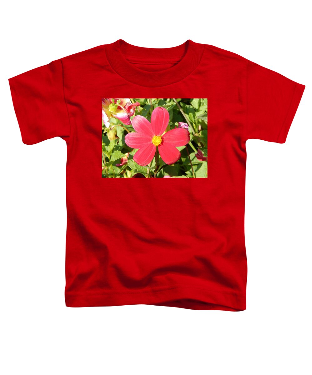 Background Toddler T-Shirt featuring the photograph Flowers in the garden and close-up for background #1 by Oleg Prokopenko