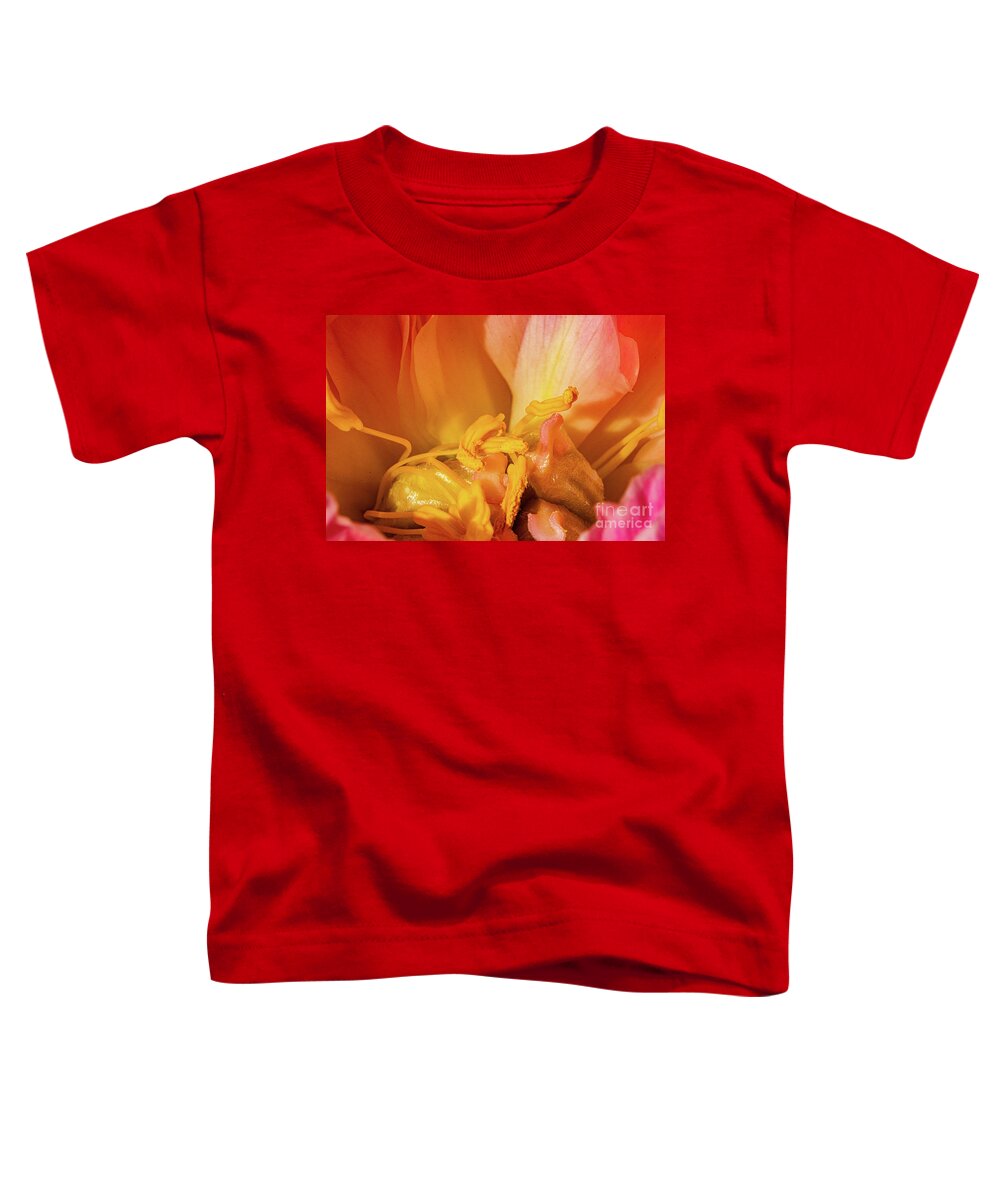 Sublime Peony Toddler T-Shirt featuring the painting Sublime Peony, Dijon, France, April by European School