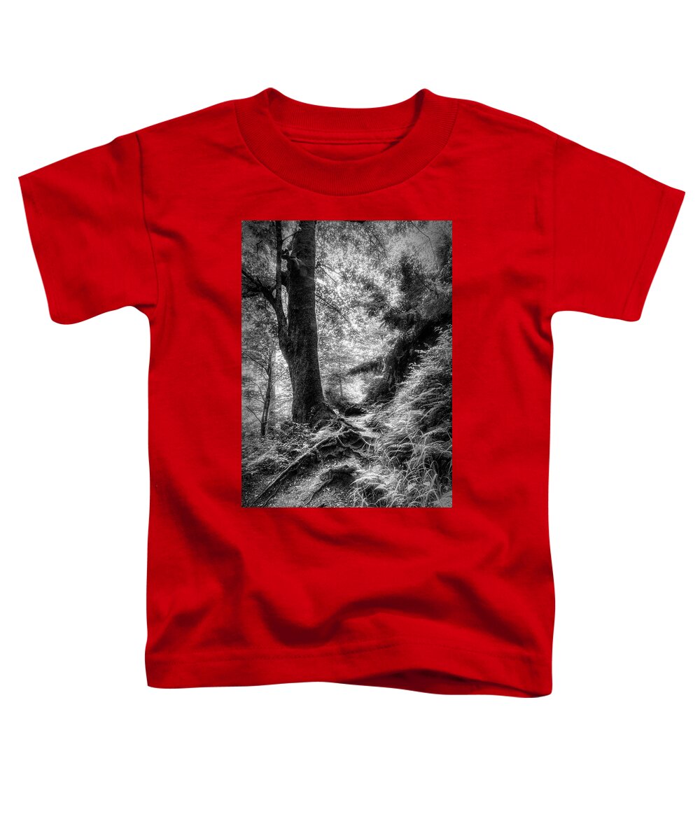Fog Toddler T-Shirt featuring the photograph Appalachian Trail in Black and White by Debra and Dave Vanderlaan