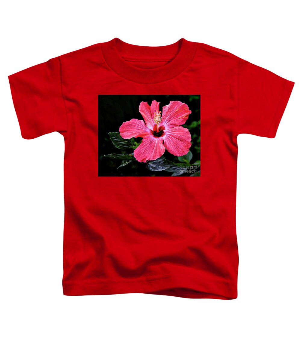 Floral Photography Toddler T-Shirt featuring the photograph Bright Red Hibiscus by Norman Gabitzsch