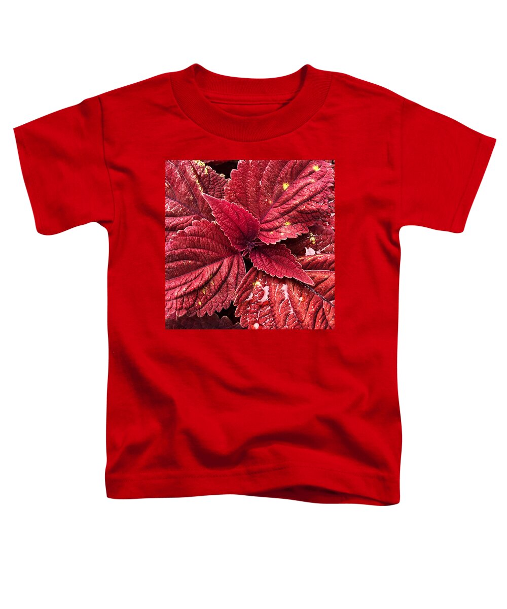 Coleus Toddler T-Shirt featuring the photograph Coleus with Red Leaves by Jori Reijonen