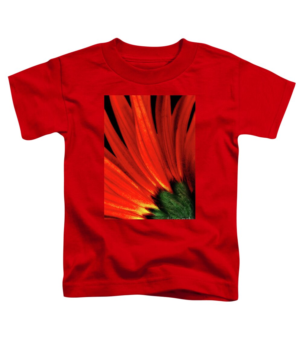 Gerbera Daisy Toddler T-Shirt featuring the photograph Daisy Aflame by Anita Pollak