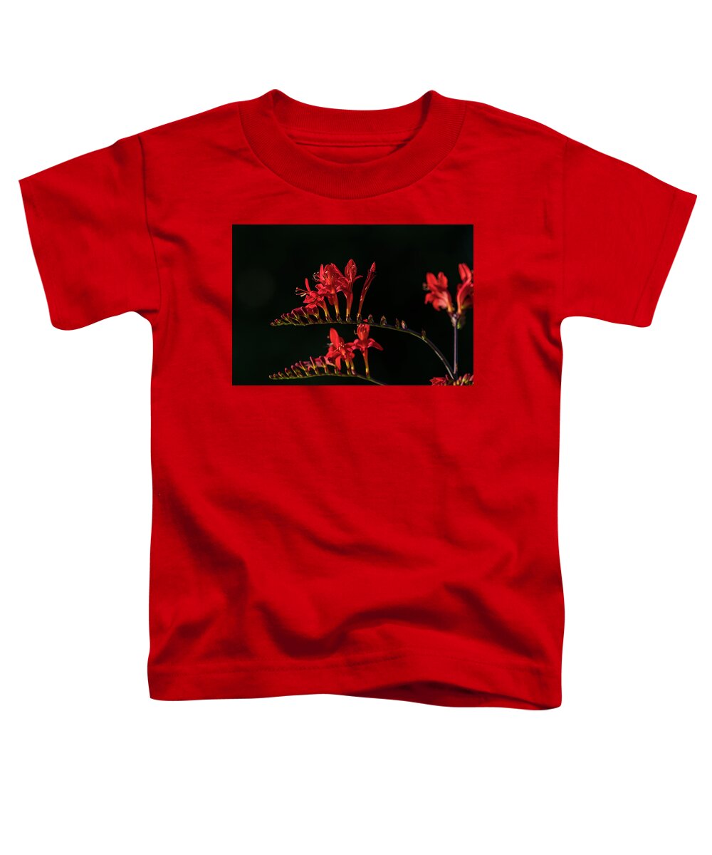 Astoria Toddler T-Shirt featuring the photograph Devil Flower in the Shadow by Robert Potts