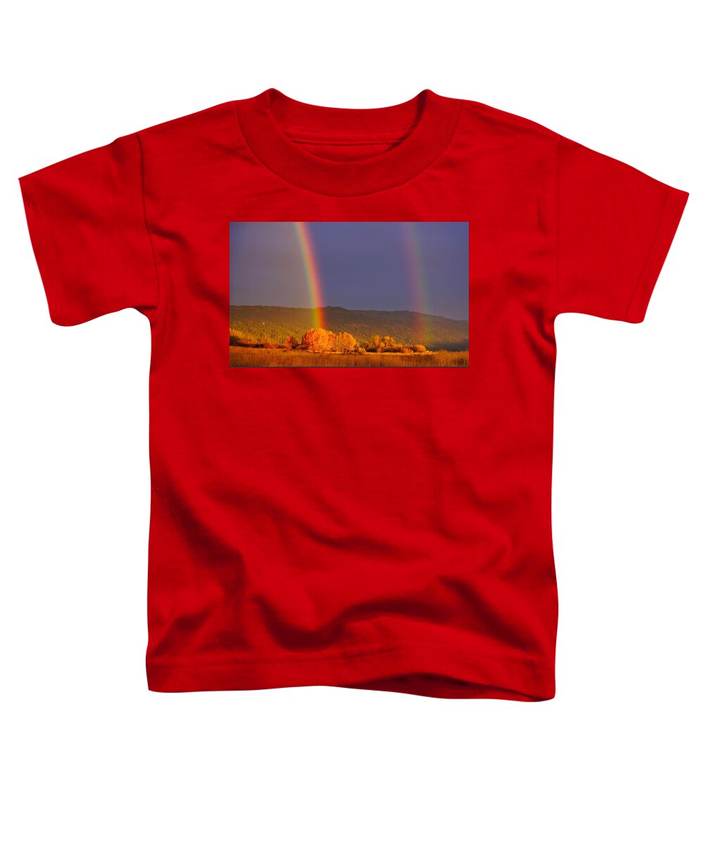 Rainbow Toddler T-Shirt featuring the photograph Double Gold by Tom Gresham