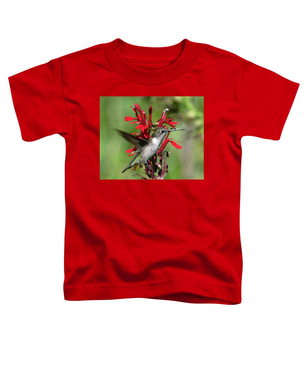 Nature Toddler T-Shirt featuring the photograph Female Ruby-throated Hummingbird DSB0325 by Gerry Gantt