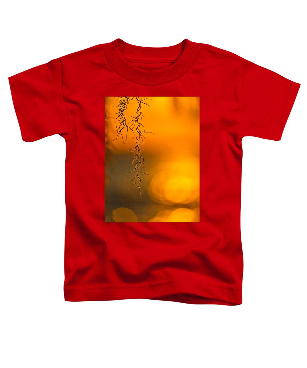 Spanish Toddler T-Shirt featuring the photograph Gilded Moss by Tom Gresham
