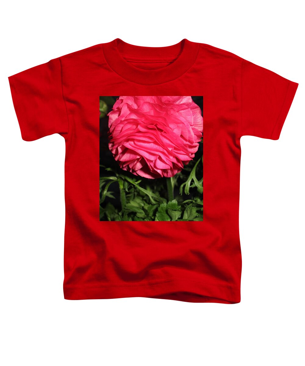 Ranunculus Toddler T-Shirt featuring the photograph I Bow by Rosita Larsson