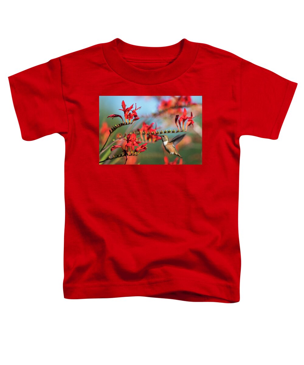 Animals Toddler T-Shirt featuring the photograph Nectar Powered by Robert Potts