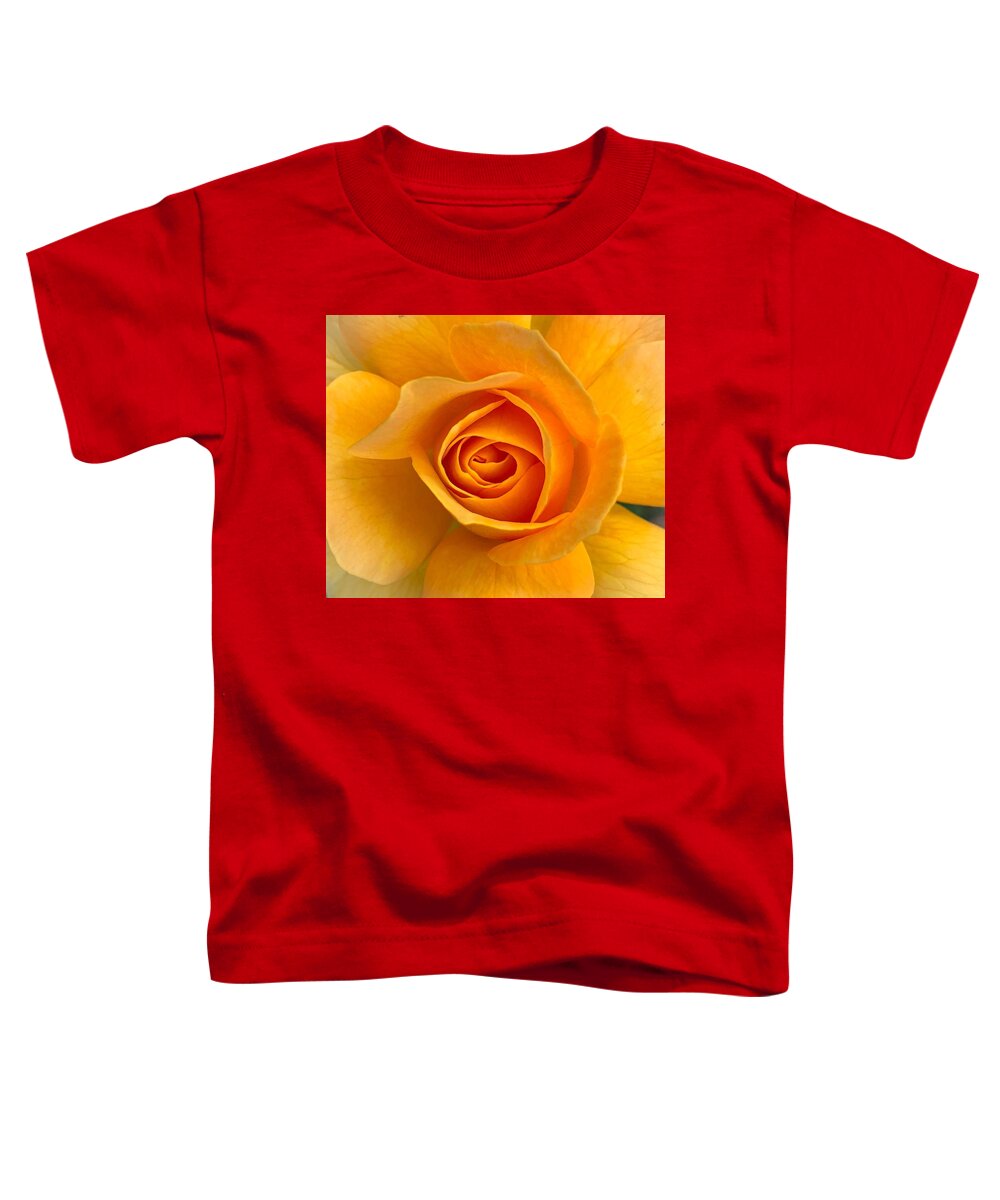 Flower Toddler T-Shirt featuring the photograph Orange Rose by Anamar Pictures