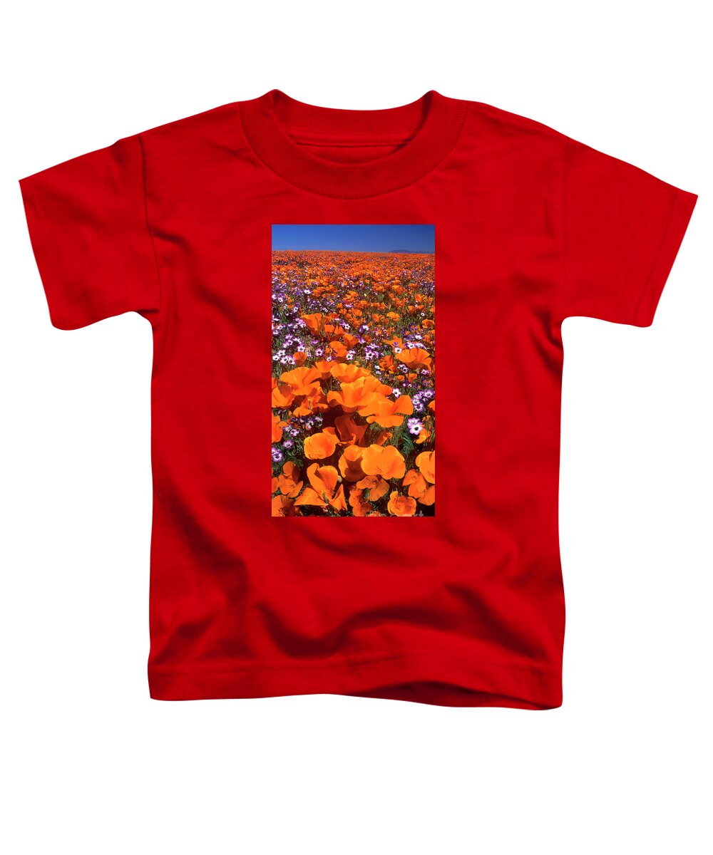 California Poppies Toddler T-Shirt featuring the photograph Panorama Califonria Poppies And Hollyleaf Gilia Wildflowers by Dave Welling