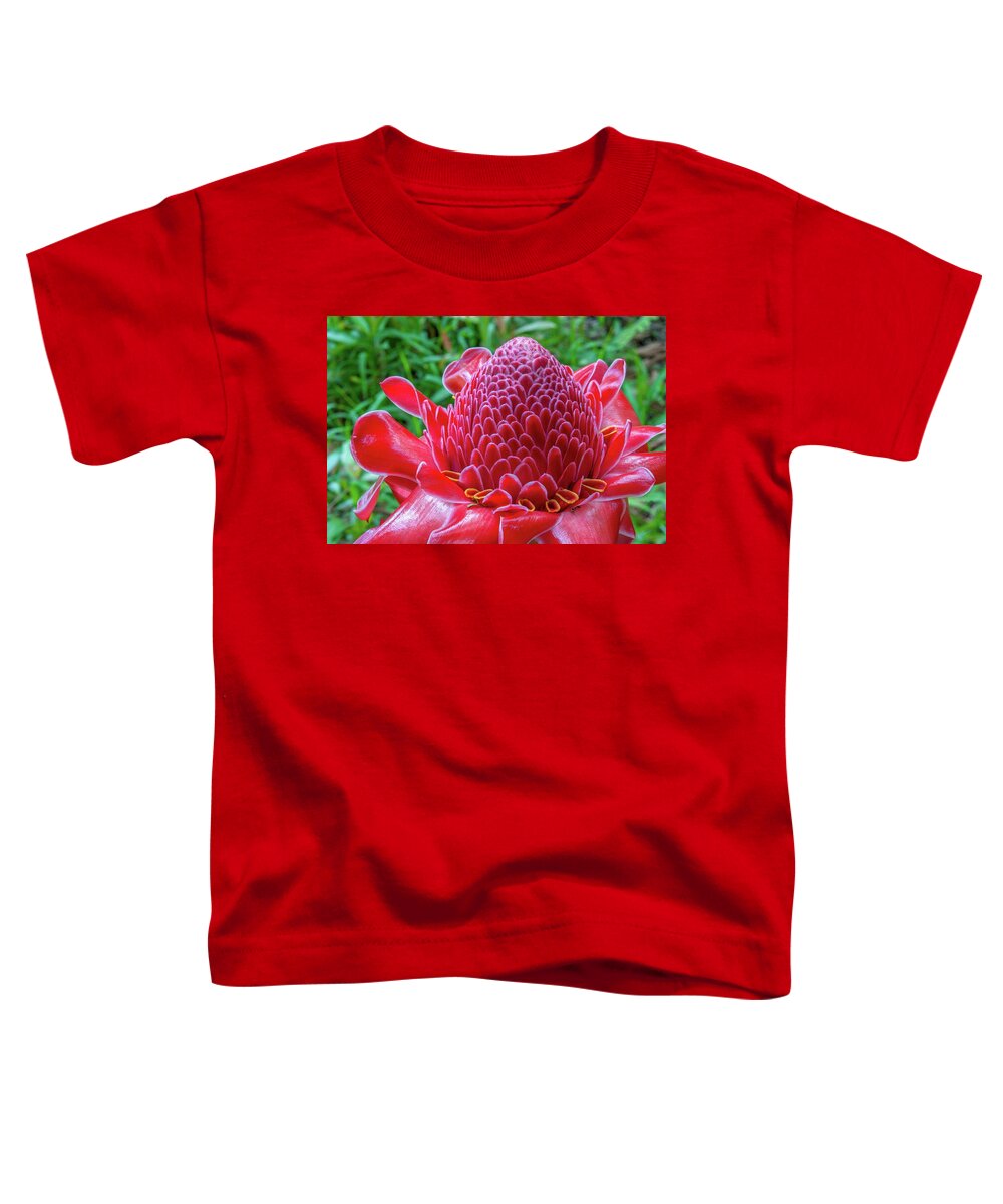 Kauai Toddler T-Shirt featuring the photograph Pink Torch Ginger by Doug Davidson
