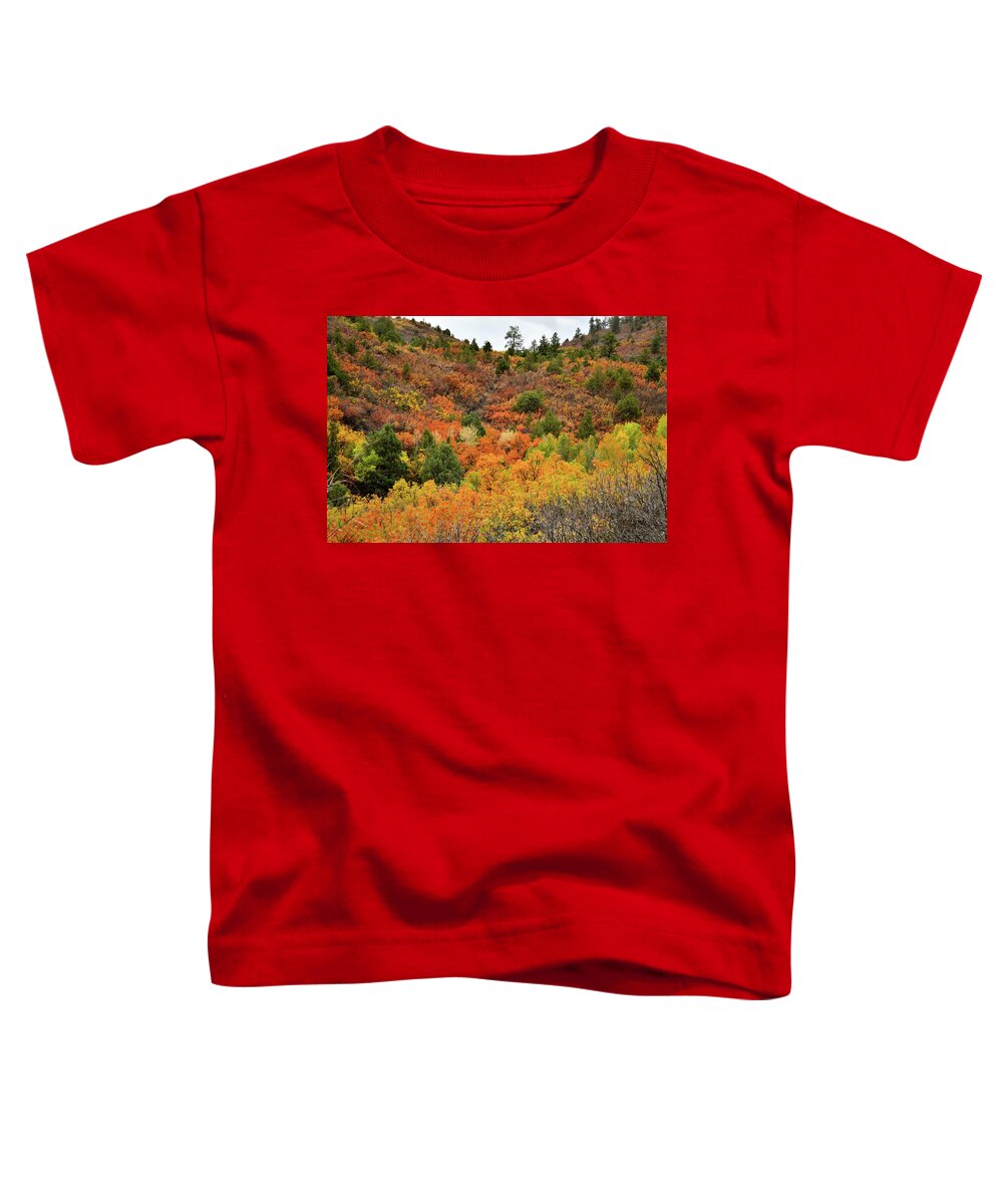 Ouray Toddler T-Shirt featuring the photograph Roadside Fall Colors near Ridgway Colorado by Ray Mathis