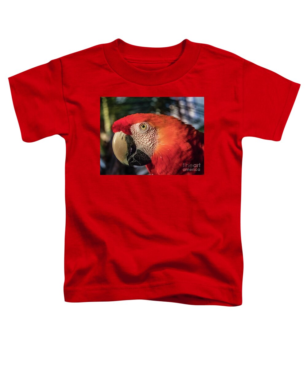 Macaw Toddler T-Shirt featuring the photograph Scarlet macaw portrait by Lyl Dil Creations