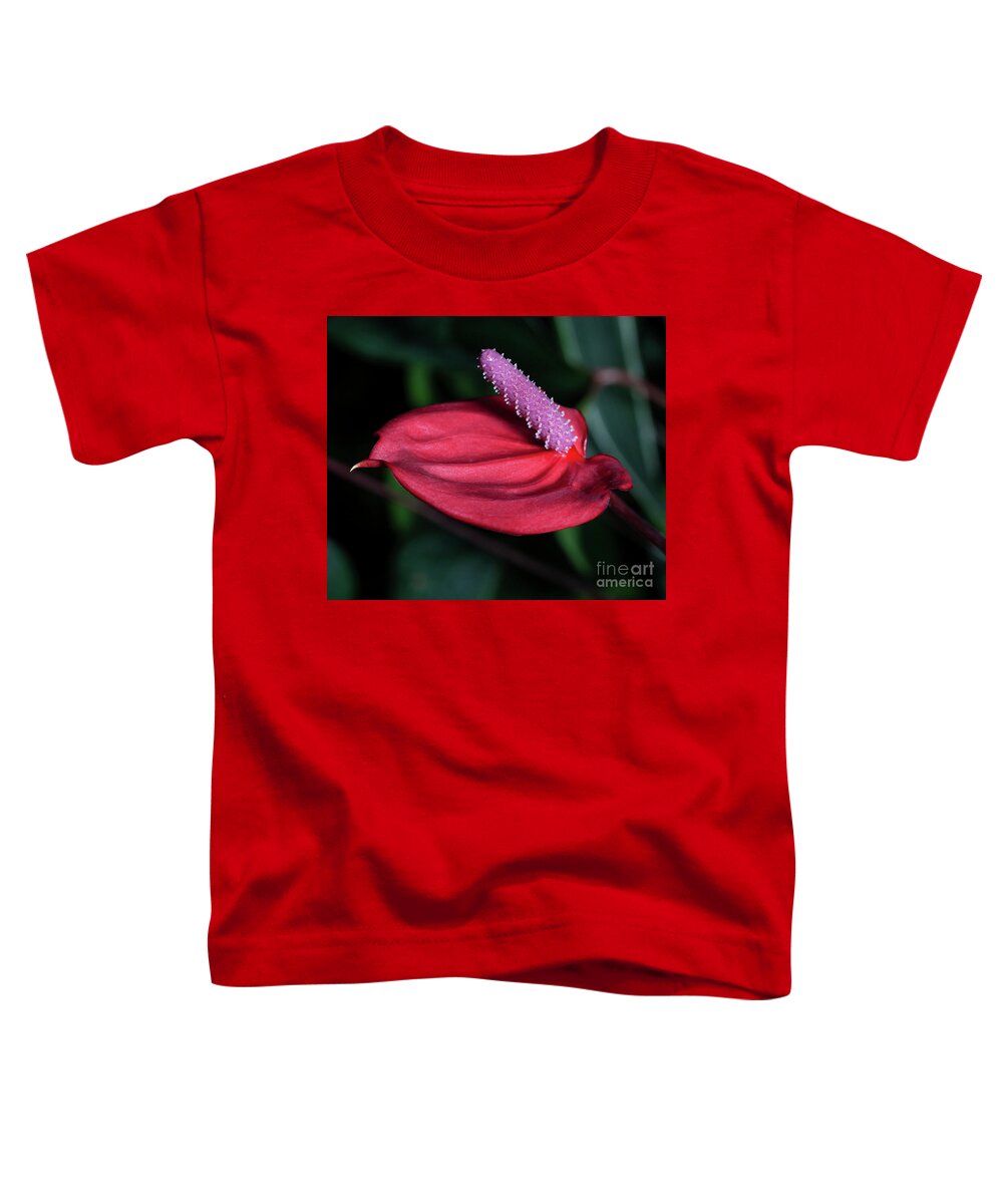 Anthurium Toddler T-Shirt featuring the photograph Tantalizer by Doug Norkum