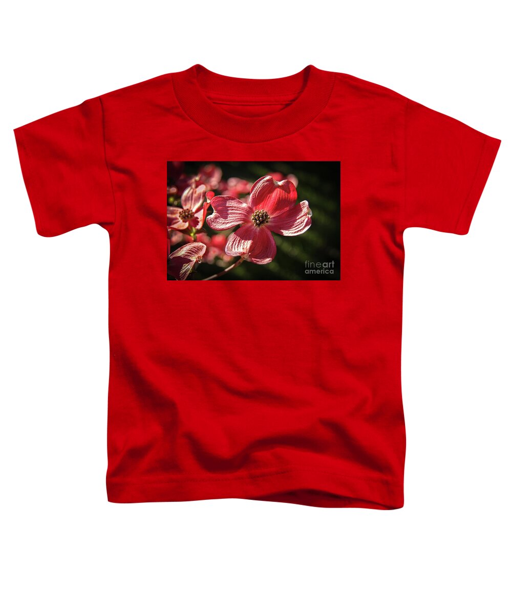 Dogwood Toddler T-Shirt featuring the photograph The Beautiful Red Dogwood by Robert Bales