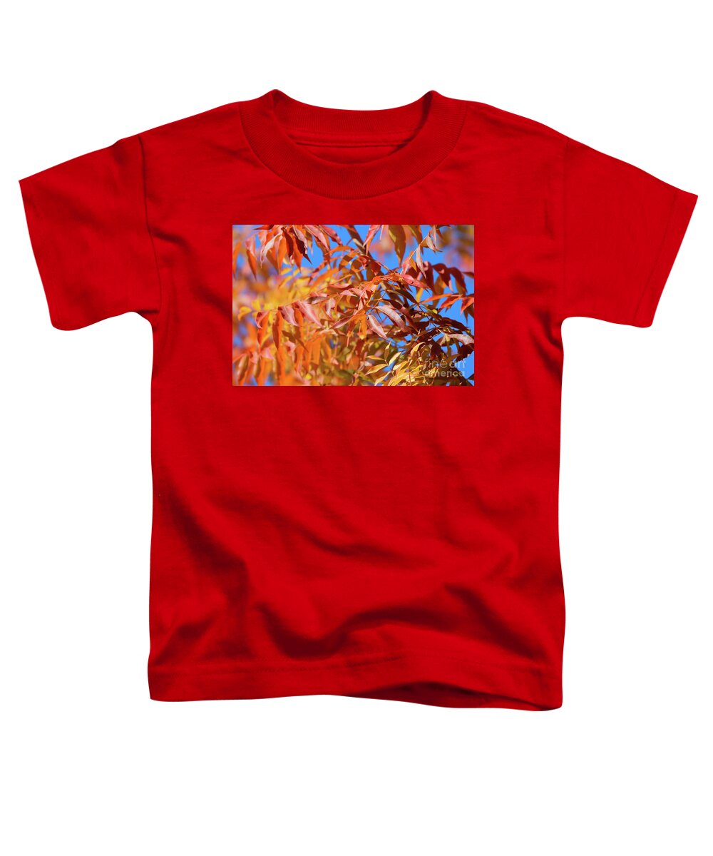 Fall Toddler T-Shirt featuring the photograph Fall Leaves #3 by Vivian Krug Cotton