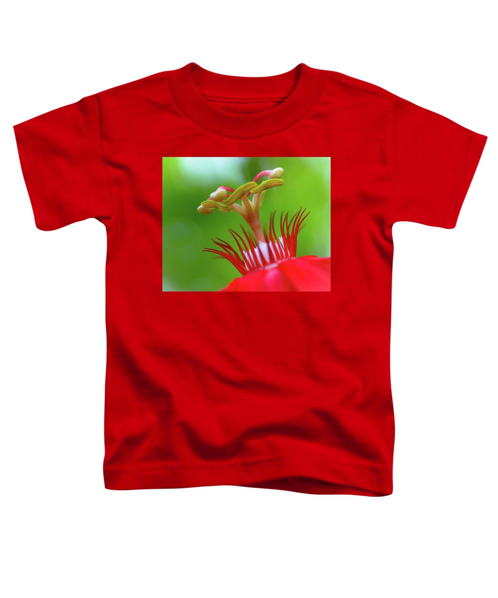 Stamen Toddler T-Shirt featuring the photograph A Flower's Eyelashes by Debra Kewley