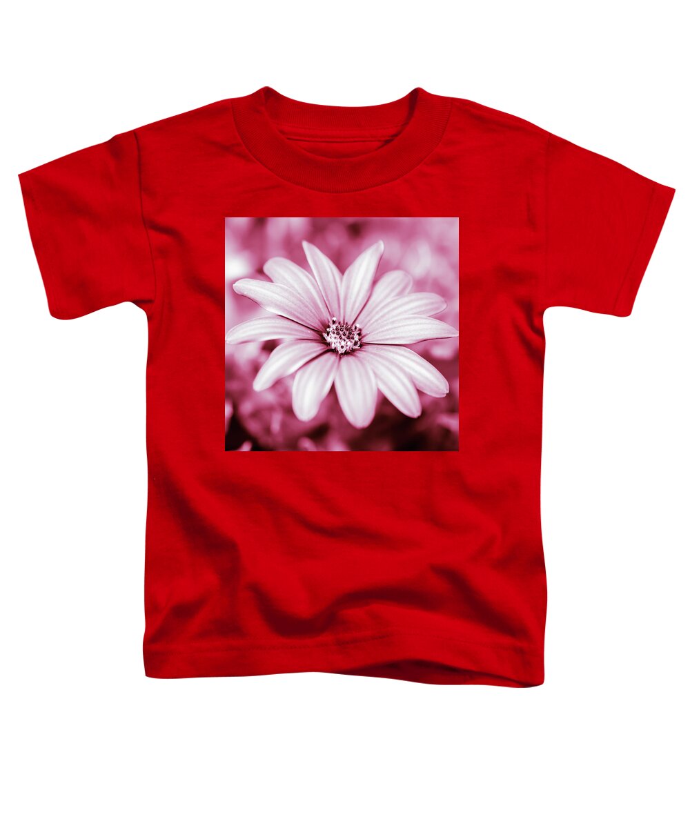 African Daisy Toddler T-Shirt featuring the photograph African Daisy Pink Monochrome by Tanya C Smith