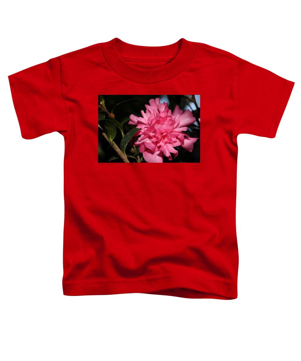 Camellia Toddler T-Shirt featuring the photograph Camellia IV by Mingming Jiang